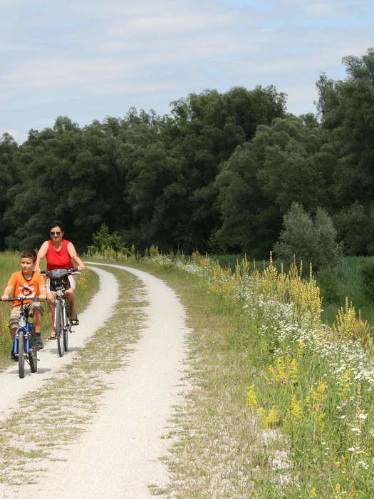 Fahrrad fahren Bad Kissingen Rhön Aktivurlaub Hotel am